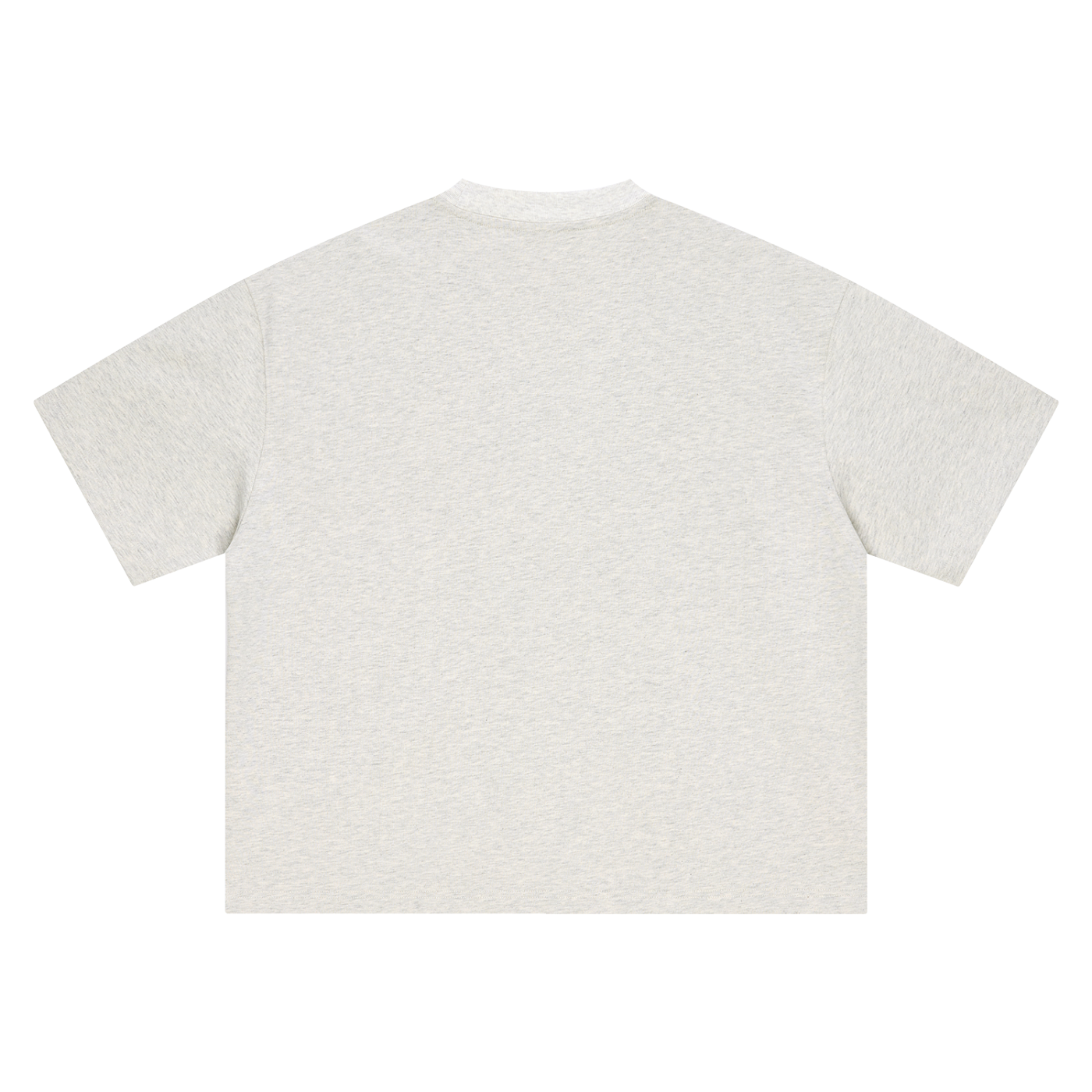 Punjabeast Dark Lion - Boxy Oversized T-Shirt