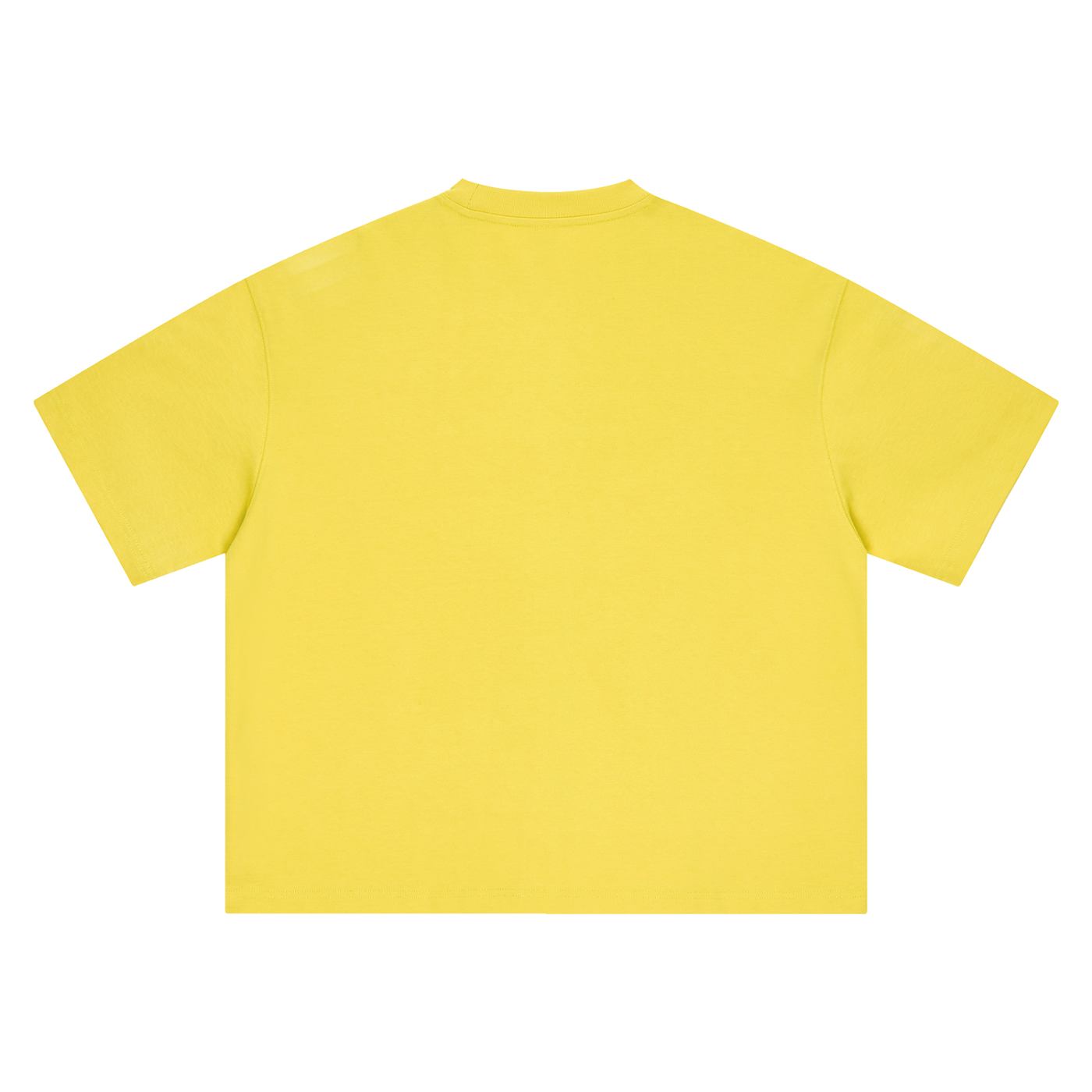 Punjabeast Dark Lion - Boxy Oversized T-Shirt