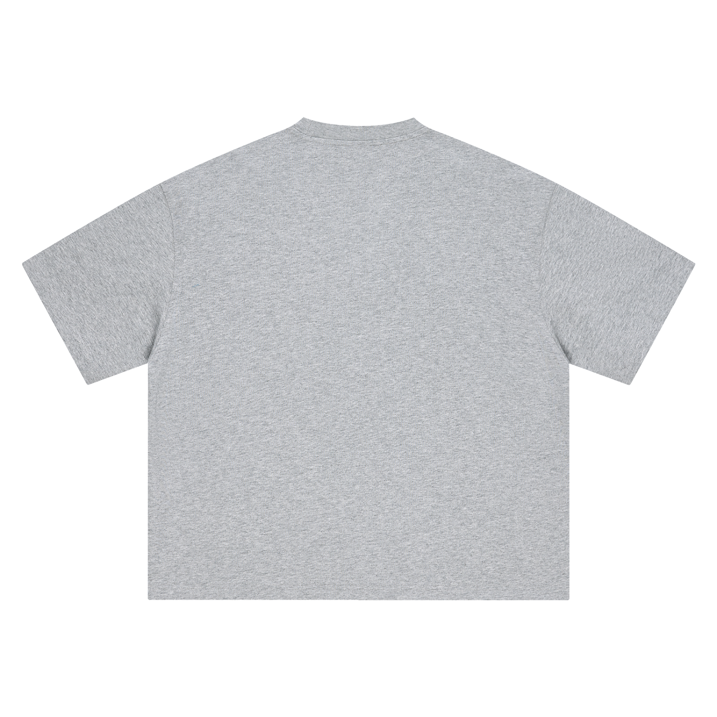 Punjabeast Dark Lion - Boxy Oversized T-Shirt