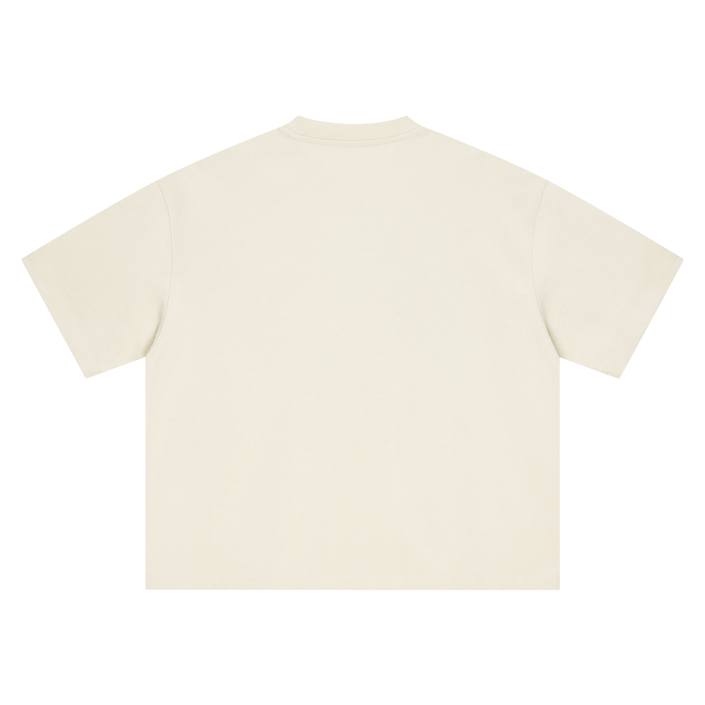Punjabeast Dark Lion - Boxy Oversized T-Shirt